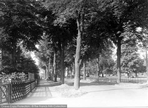 Photo of Wisbech, Park Avenue c.1950 - Francis Frith