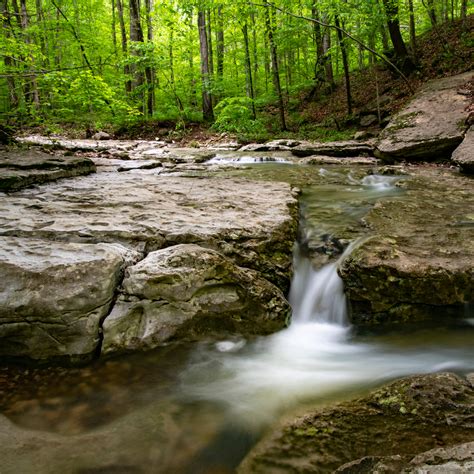 12 Scenic Trails For Hiking In Arkansas - Southern Trippers