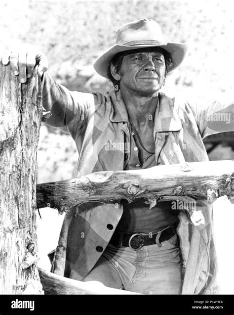 Charles Bronson Once Upon A Time In The West