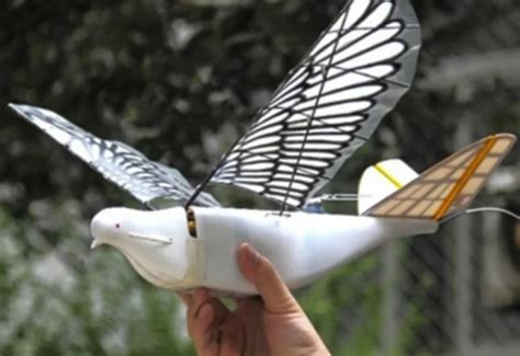 CHINA LAUNCHES 'SPY BIRD' DRONE TO BOOST GOVERNMENT SURVEILLANCE — Aero Vison Drones