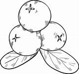 Three Cranberries coloring Page  Free Printable Coloring Pages sketch template