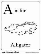 A Is For Aligator Printable Coloring Page  KoleteAlexander sketch template