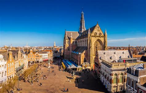 Cathedral in Haarlem - Mushroom Travel