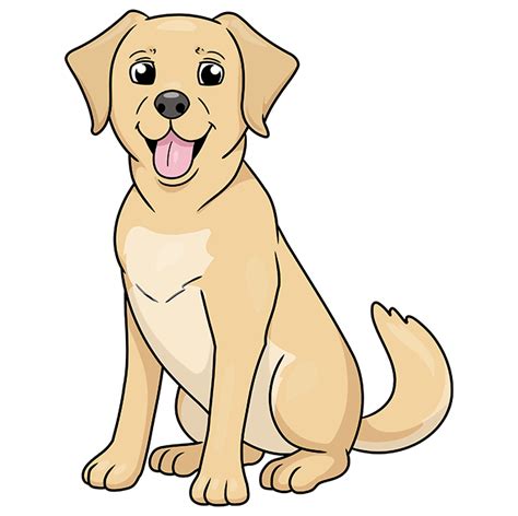 How to Draw a Labrador - Really Easy Drawing Tutorial