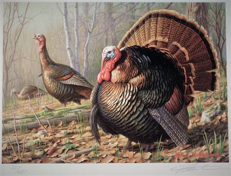 First Ever Minnesota Turkey Stamp Print With Stamp 1997 Jim Hautman - Etsy | Turkey painting ...