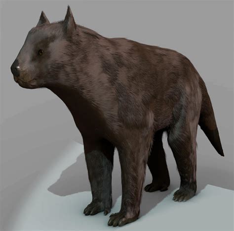 Thylacoleo Carnifex 3D No2 by StephanieStutz on DeviantArt