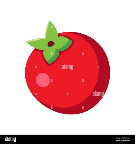 Tomato vector illustration Stock Vector Image & Art - Alamy