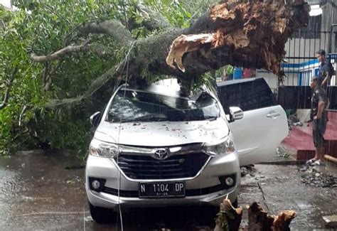 Pohon Tumbang Timpa Mobil Akibat Hujan Angin di Kota Malang