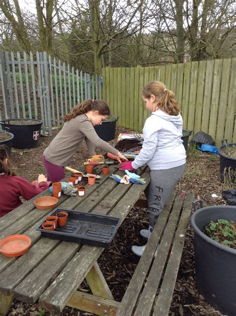 Gardening Club – St. Cuthbert's Primary School