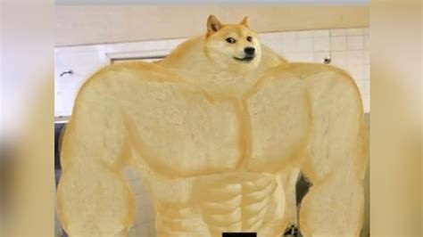 Swole Doge | Know Your Meme