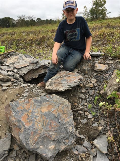 Go fossil hunting in Alabama at Union Chapel Mine - Yellowhammer News