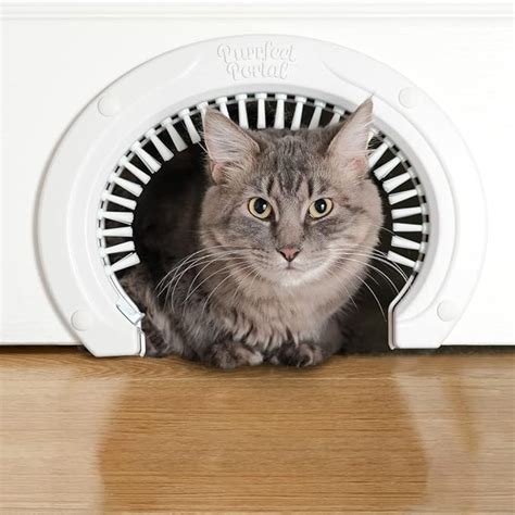 Amazon.com : Cat Door for Interior Doors with Grooming Brush - Large ...