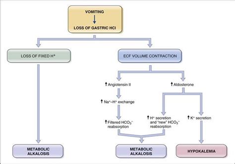 METABOLIC ALKALOSIS (electrolyte imbalance)