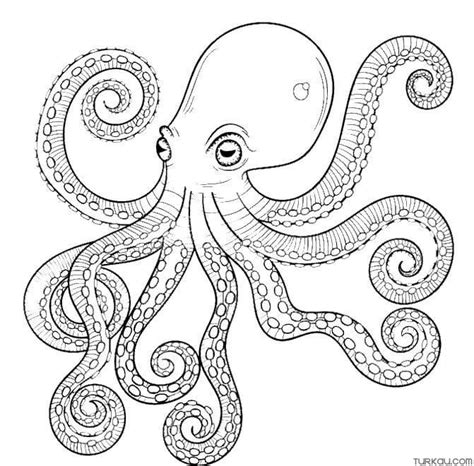 Cute Octopus Coloring Pages Outline Sketch Drawing Vector,, 55% OFF