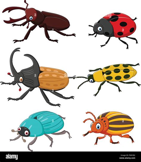 Cartoon funny beetle collection Stock Vector Image & Art - Alamy