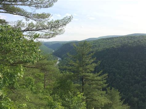 Leonard Harrison Main Lookout Trail - 0.2 miles in Wellsboro, PA at Leonard Harrison State Park ...