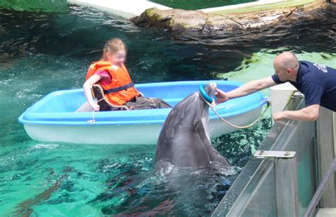 Dolphin Exploitation at Duisburg Zoo | Dolphin Project