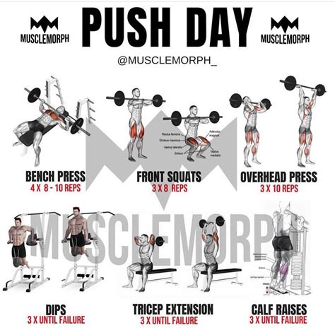 MuscleMorph® on Instagram: “6 Day Workout Program ️ (swipe left) @musclemorph_ - Up to 30% OFF ...