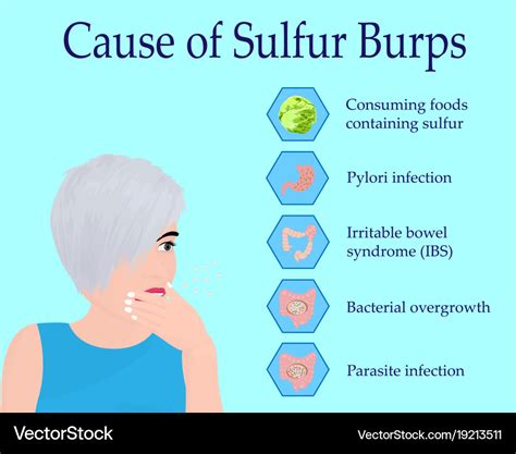 Causes sulfur burps Royalty Free Vector Image - VectorStock