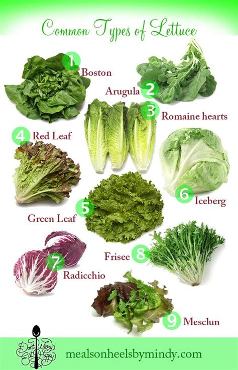 39 best Lettuce Mix images on Pinterest