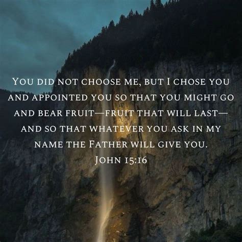 John 15:16 You did not choose me, but I chose you and appointed you so that you might go and ...