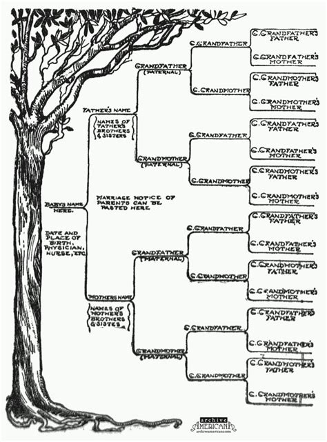 Family Tree Template - Fotolip