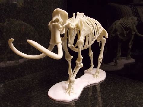 Woolly Mammoth Skeleton 3D Printed PLA Statue Fossil 10 Inches - Etsy