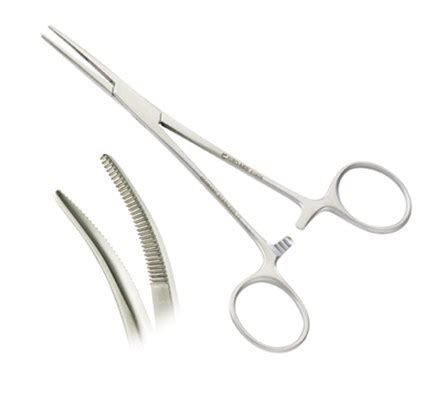 Kelly Forceps: Silver, 1/8 In Lg, Stainless Steel, Straight Tip Blade ...