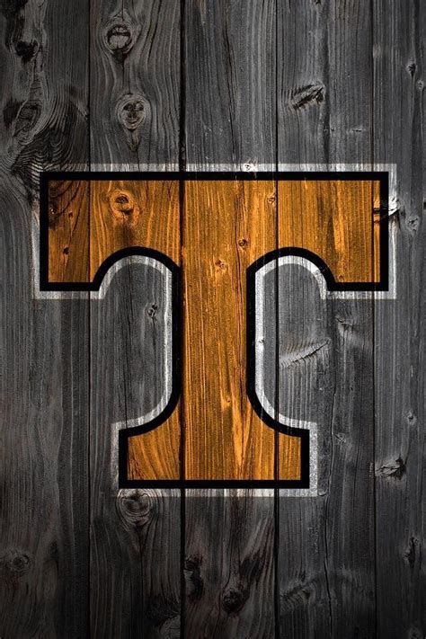 Pin by jennifer overly on Rocky Top Tennessee | Tennessee volunteers ...