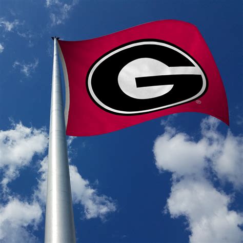 3'x5' Georgia Bulldogs Flag – Old Glory Shop