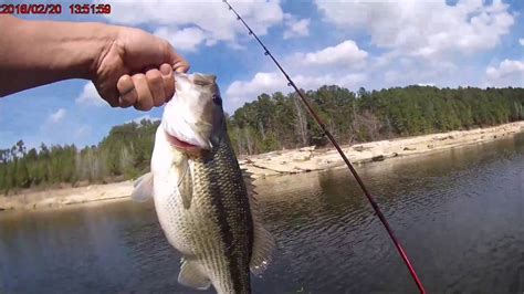 Fishing Sabine River & Ft Polk - YouTube