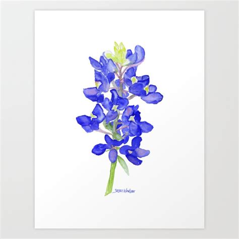 Bluebonnet Watercolor Art Print by Susan Windsor | Society6