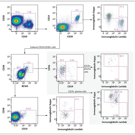 CD19 Expression on Neoplastic Plasma Cells Panel A shows surface CD19... | Download Scientific ...