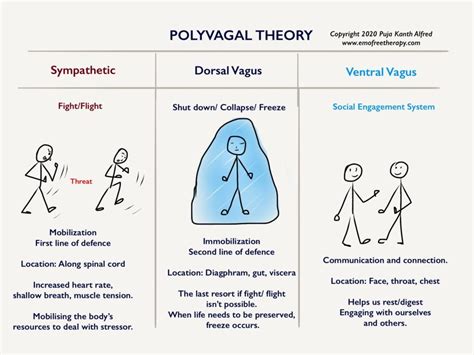 Polyvagal Theory Chart Of Trauma Response