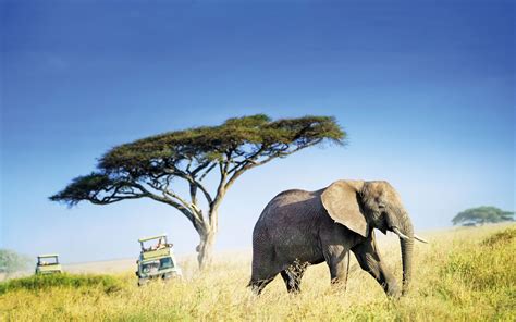 48 hours in the Limpopo Province, South Africa | Psychologies