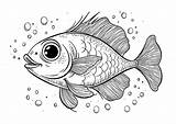 Simple Fish coloring  Coloring Pages sketch template