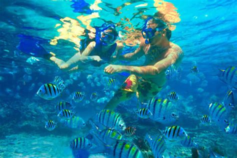 Snorkelling Near Le Morne Beach At Peninsula Mauritius