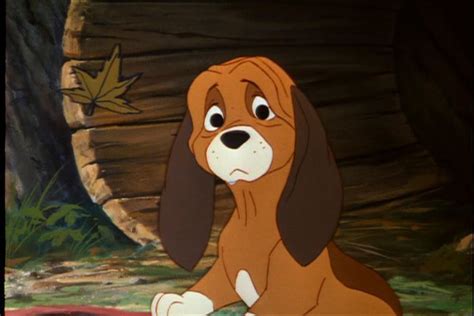 *COPPER ~ The Fox and the Hound,a 1981 Disney Dogs, Old Disney, Disney Girls, Disney Magic ...