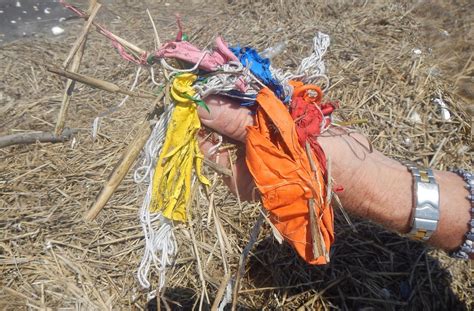 Balloons’ dangers to wildlife not inflated