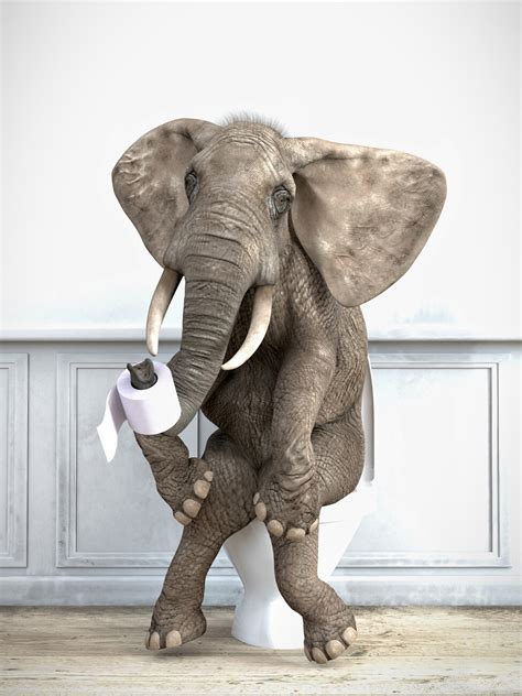 Künstlerische illustrasjon | Elephant in a toilet Print Wall Art ...