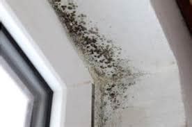 Mould Prevention Tips - Smart Strata | Body Corporate Management