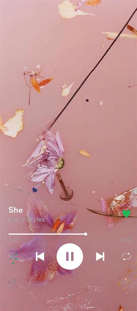 Harry Styles, fine line, flowers, harry styles, pink theme, she, sott, HD phone wallpaper | Peakpx