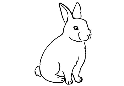 How to Draw a Bunny (3 steps) | Design School