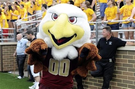 BC Things You Didn't Know You Missed This Summer | Boston college eagles, Mascot, Eagle mascot