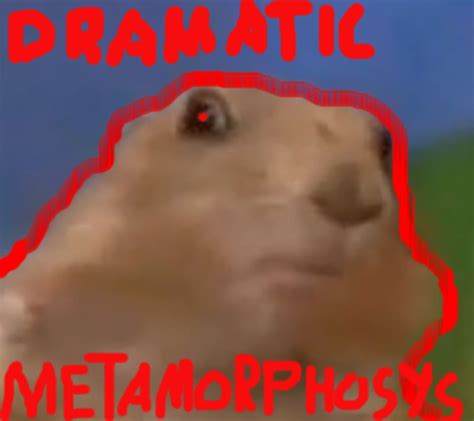 [Image - 128045] | Dramatic Chipmunk | Know Your Meme