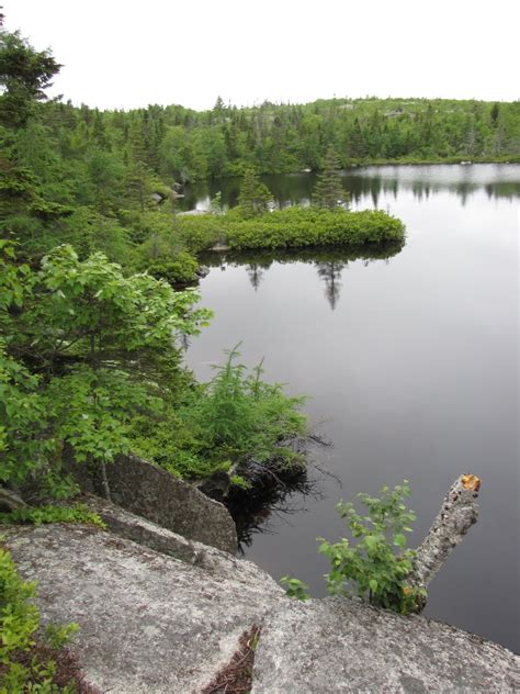 Trails of Halifax Regional Municipality: The Bluff Trail: Superb Wilderness Hiking