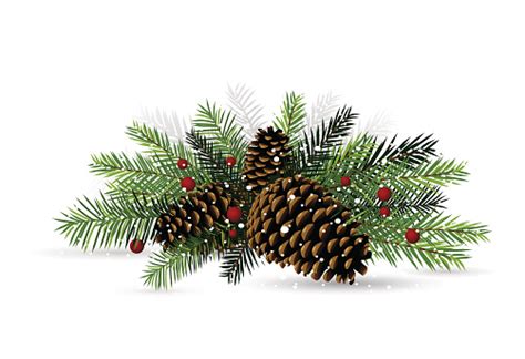 Pine Cone Clip Art, Vector Images & Illustrations - iStock