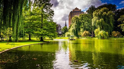 Download Pond Tree Green Boston Photography Park HD Wallpaper