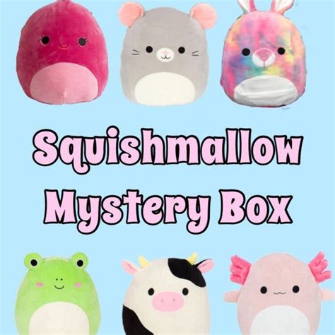 Squishmallow Mystery Box - Etsy