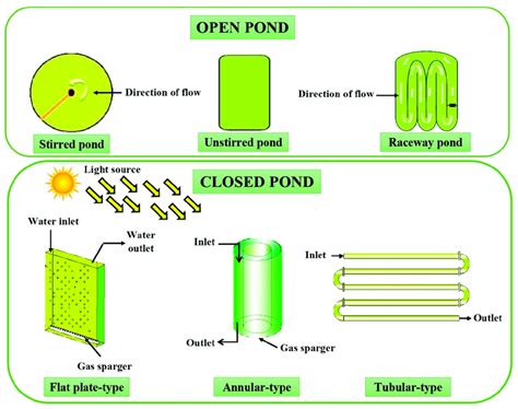 Open and closed pond cultivation system of microalgae. Open and closed... | Download Scientific ...